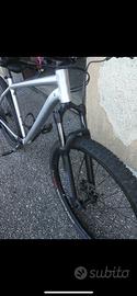 Bici mtb SPECIALIZED 29” taglia XL