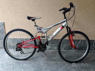 Mountain bike 