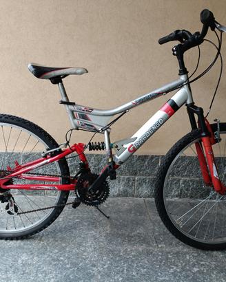 Mountain bike 