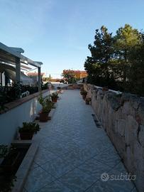 La Caletta. Monolocale
