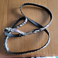 set guinzaglio e collare