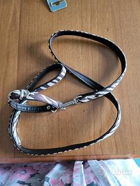 set guinzaglio e collare