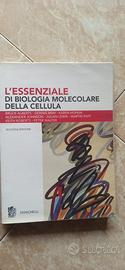 L’essenziale di biologia molecolare della cellula