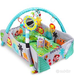 Palestrina Neonato Multiattività Multifunzione