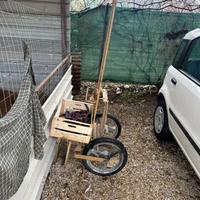 Carrozzino mini pony