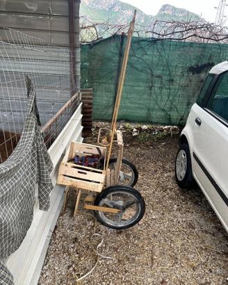 Carrozzino mini pony