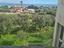 Immagine 14