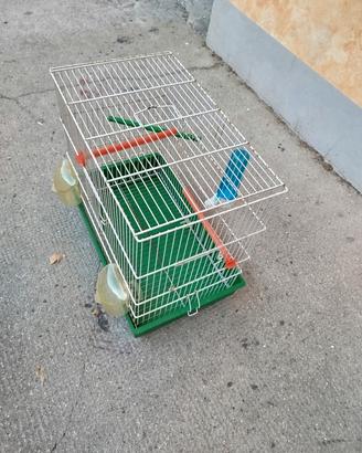 gabbie per uccelli grande