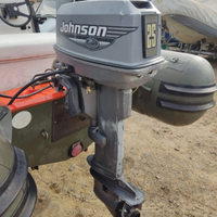 Motore Johnson 35 cv