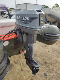 Motore Johnson 35 cv