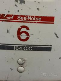 Motore johnson 6 cv 2t