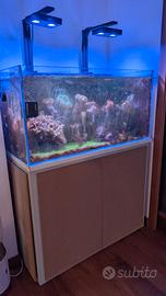 acquario marino