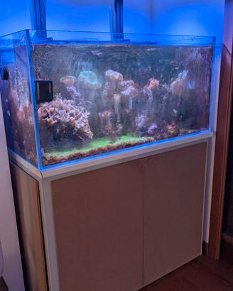 acquario marino