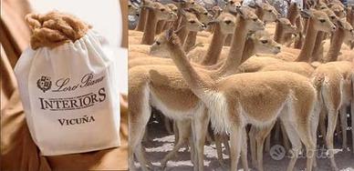 filato Vicuna filatura Loro Piana