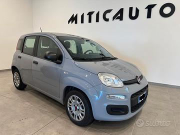 Fiat Panda 1.0 FireFly S&S Hybrid Easy - NO VINCOL