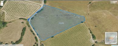 Terreno agricolo in contrada Pietrosa a Nova Siri