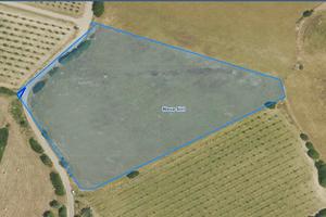 Terreno agricolo in contrada Pietrosa a Nova Siri