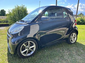 Smart 2013