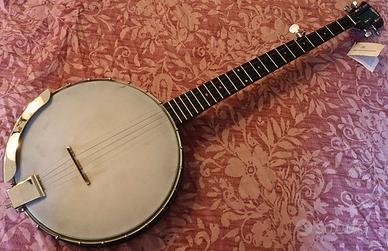 Banjo 5 corde Rover RB-20 stile americano