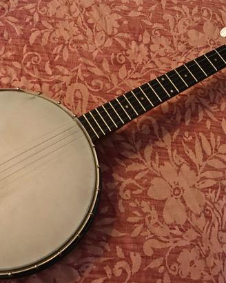 Banjo 5 corde Rover RB-20 stile americano