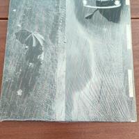 Lucio Battisti Una giornata uggiosa vinile 33 giri