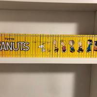 TUTTO PEANUTS HACHETTE