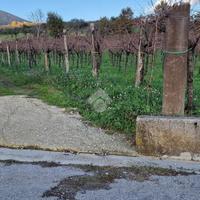 TER. AGRICOLO A FOGLIANISE