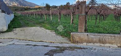 TER. AGRICOLO A FOGLIANISE