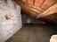 Immagine 29