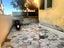 Immagine 13