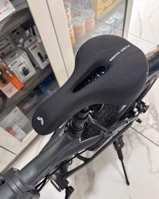 Bicicletta elettrica a pedalata assistita