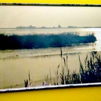 Due quadri soggetto barena veneziana