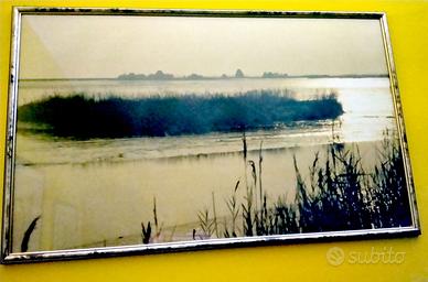 Due quadri soggetto barena veneziana
