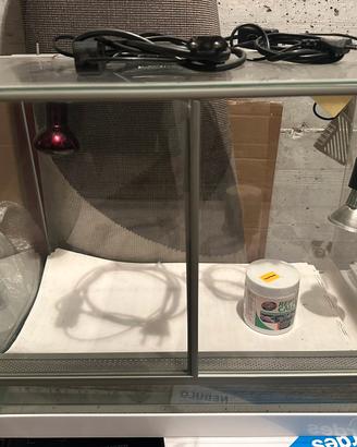 Terrario teca rettilario