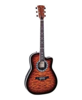 Chitarra acustica tipo "ovation"