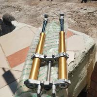 forcelle paioli per am 50