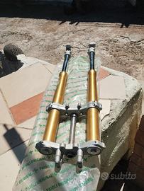 forcelle paioli per am 50