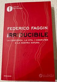 IRRIDUCIBILE FEDERICO FAGGIN