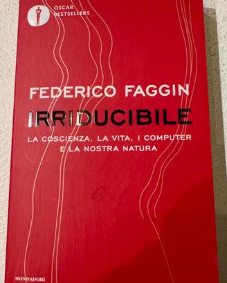 IRRIDUCIBILE FEDERICO FAGGIN
