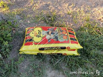 stallatico 