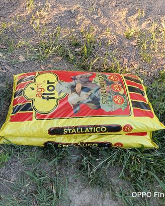 stallatico 