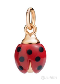 DoDo coccinela