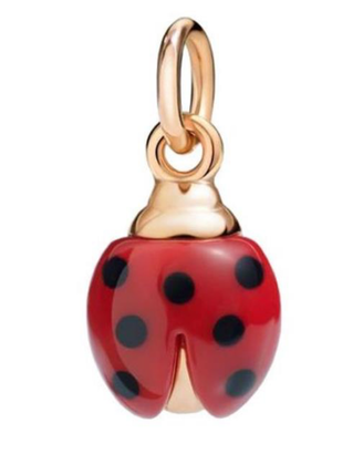 DoDo coccinela