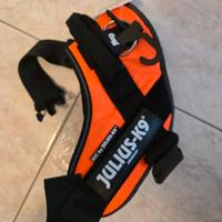 Pettorina cane Julius-K9 arancione fluo