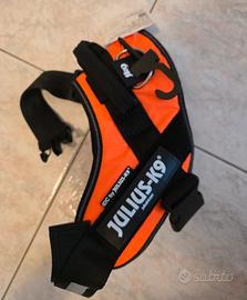 Pettorina cane Julius-K9 arancione fluo