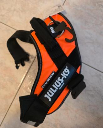 Pettorina cane Julius-K9 arancione fluo