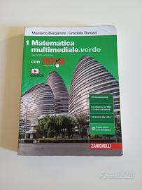 Matematica verde 1