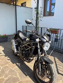 Suzuki SV650 - 2024 - con soli 1.500 km