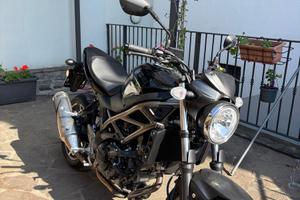 Suzuki SV650 - 2024 - con soli 1.500 km