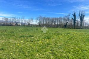 TER. AGRICOLO A CERRIONE